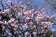 image0412