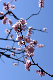 image0413