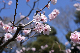 image0414