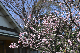 image0415