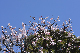 image0416