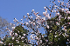 image0417