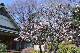 image0418