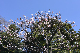 image0419