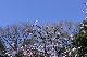 image0422