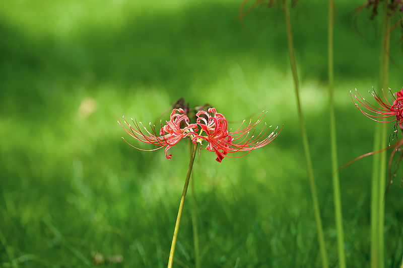 image0015