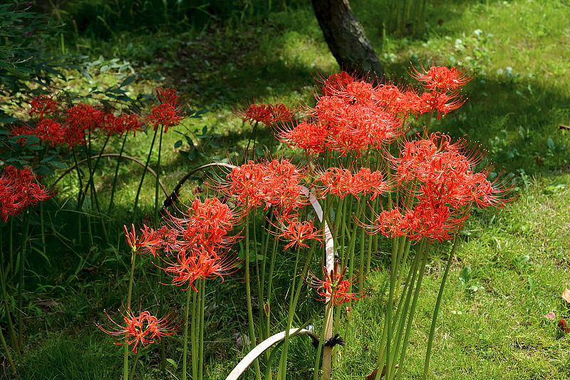 image0097