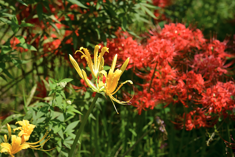 image0102