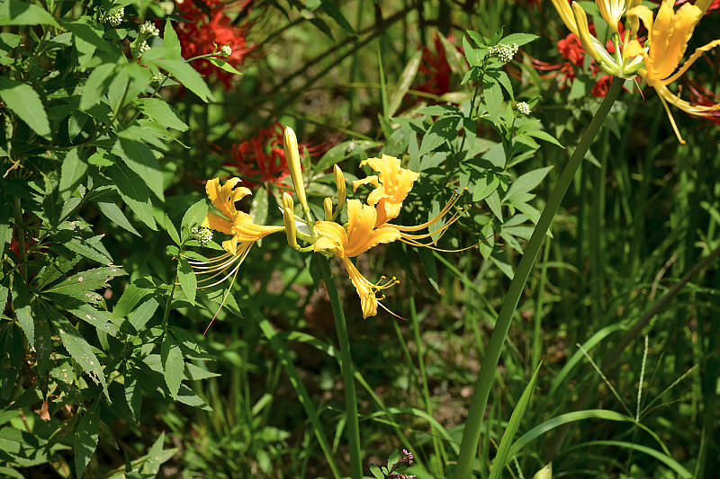 image0103