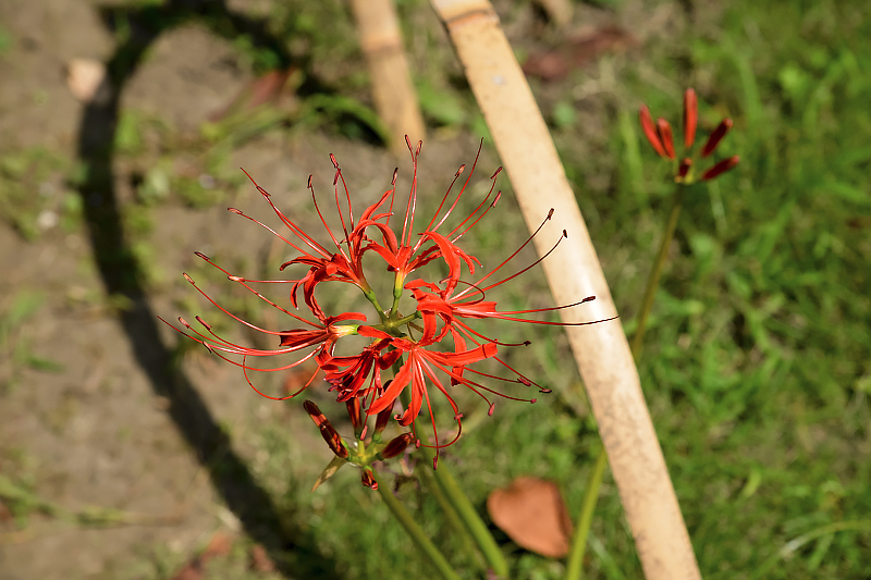 image0104