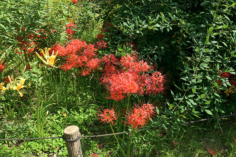 image0105