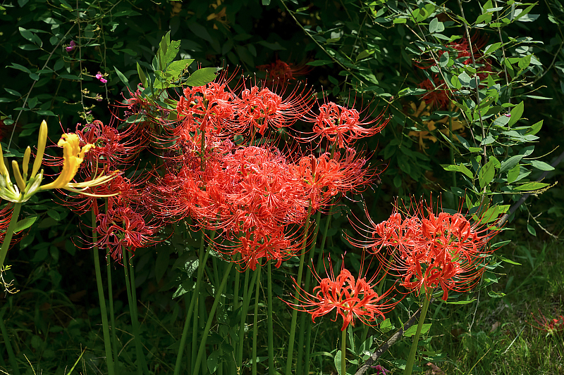 image0107
