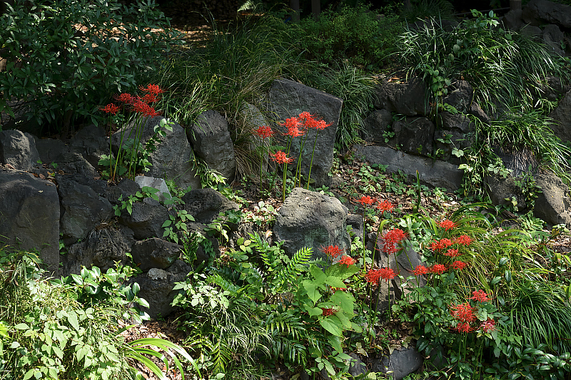 image0108