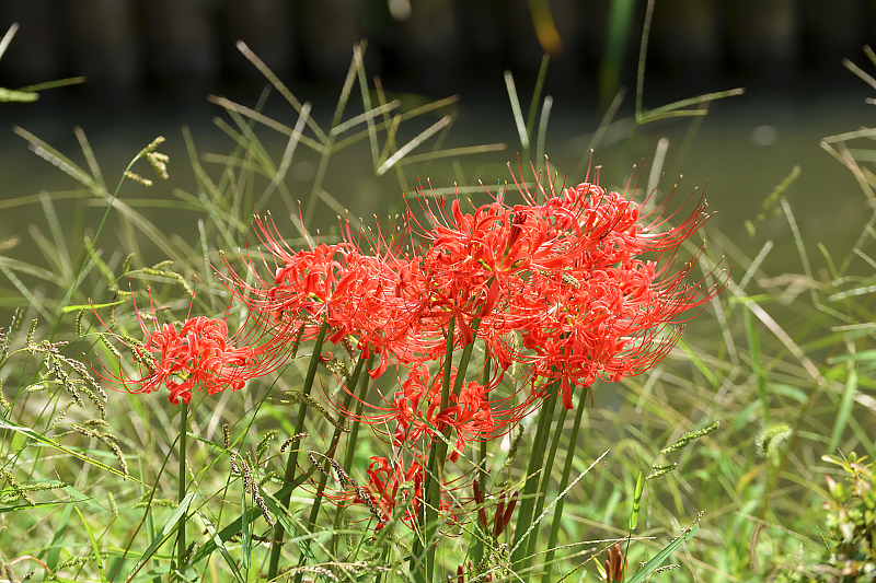 image0109