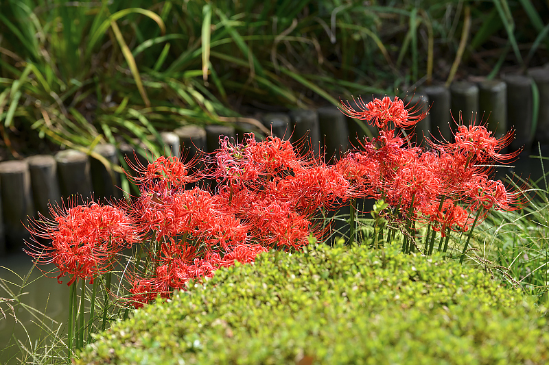 image0110
