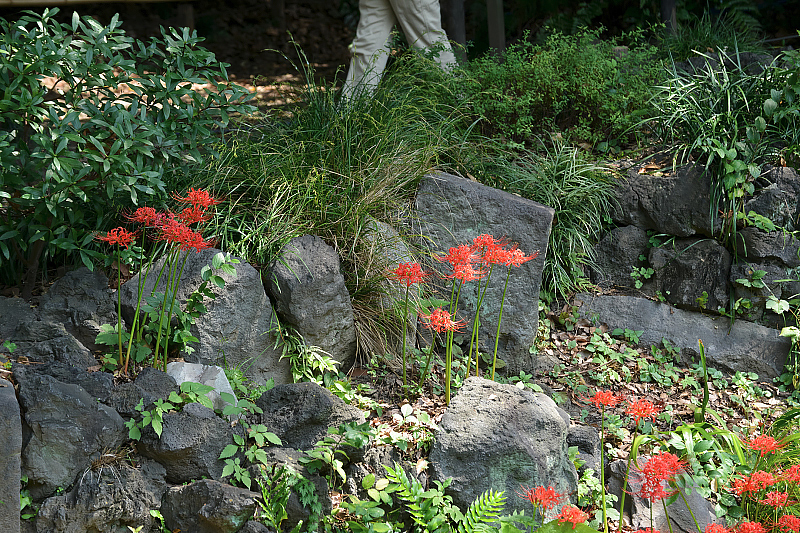 image0111