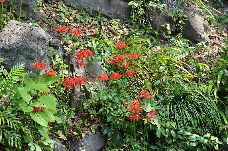 image0112