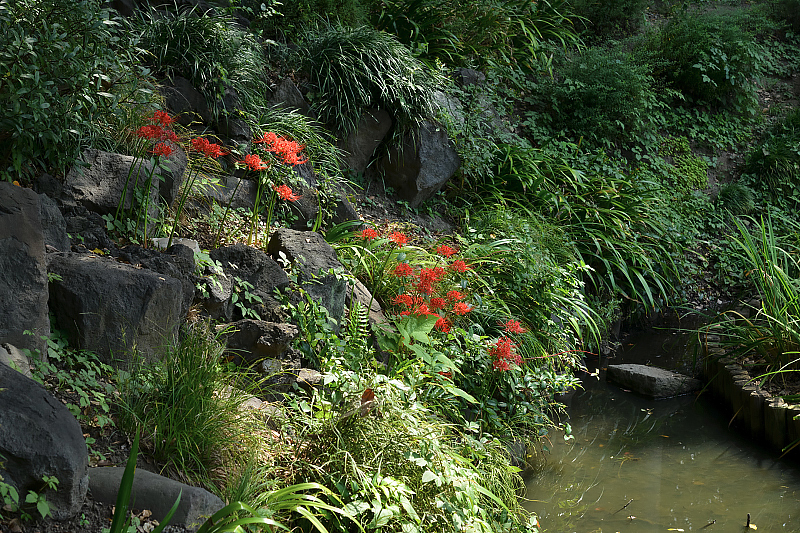 image0113