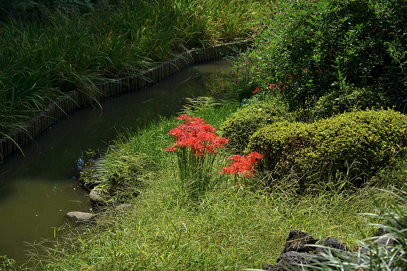image0114