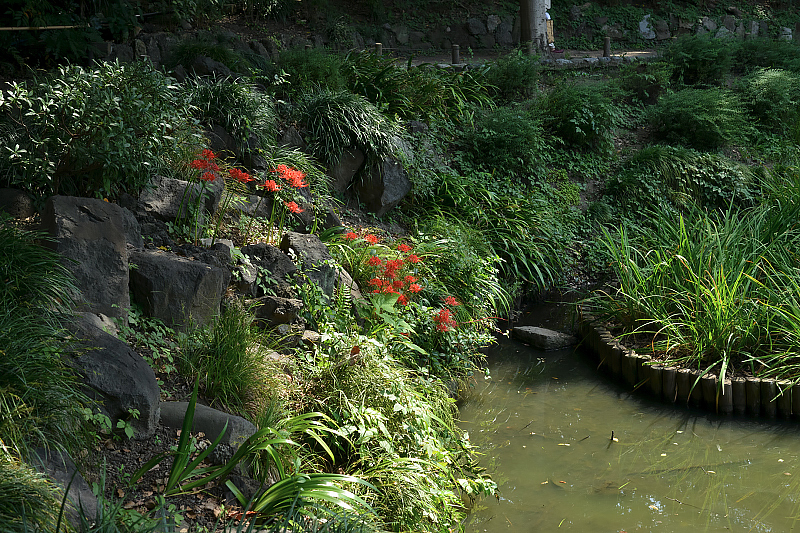 image0115