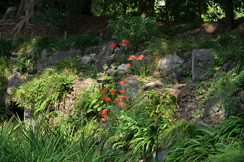 image0117