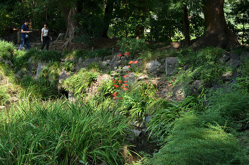 image0118