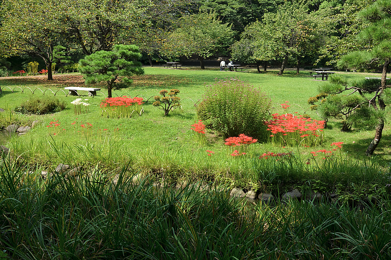 image0120