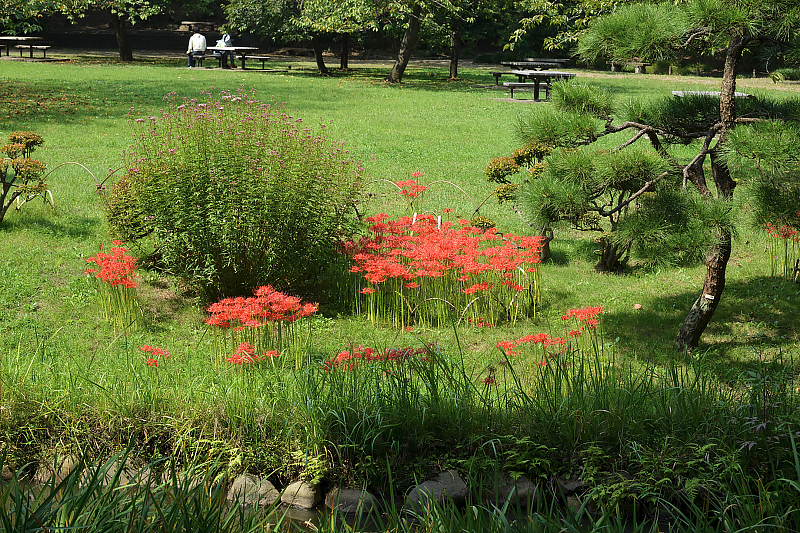 image0121