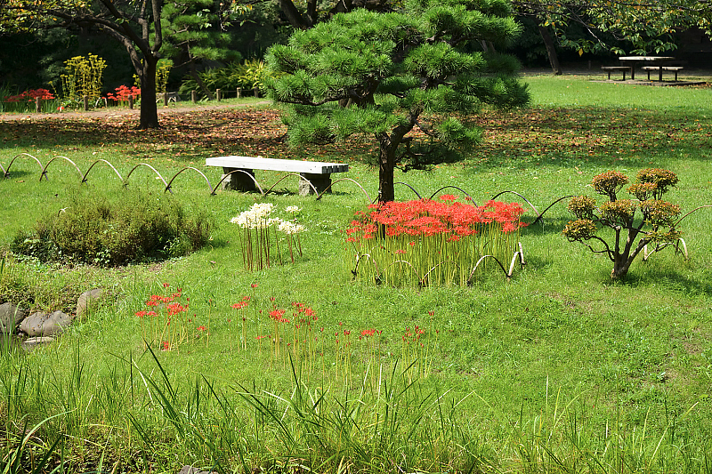 image0122