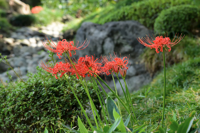 image0123