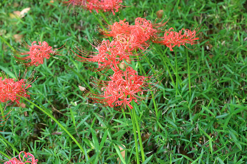 image0124