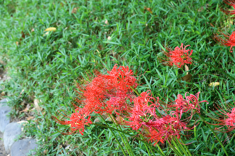 image0125