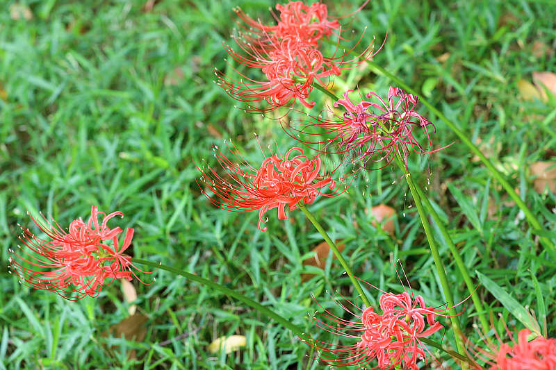 image0126