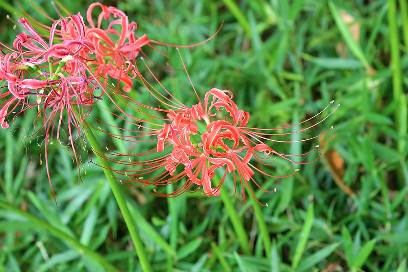 image0128