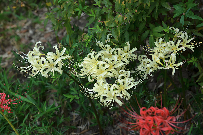 image0130