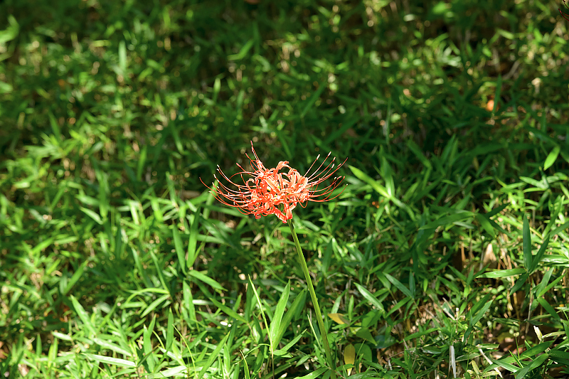 image0132