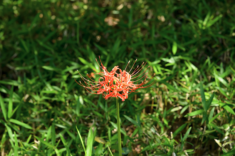 image0134