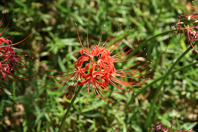 image0140