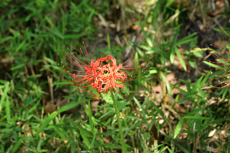 image0141