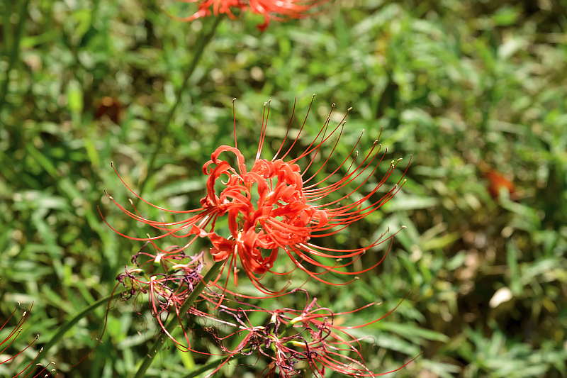 image0142