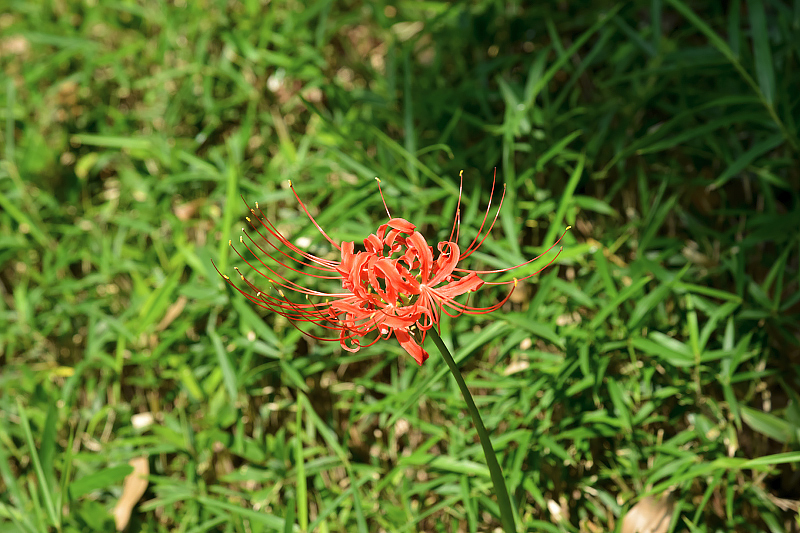 image0143