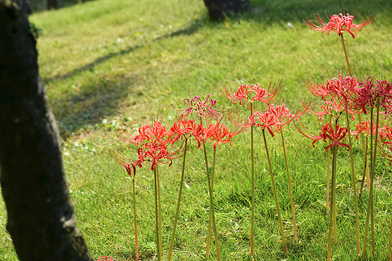 image0144
