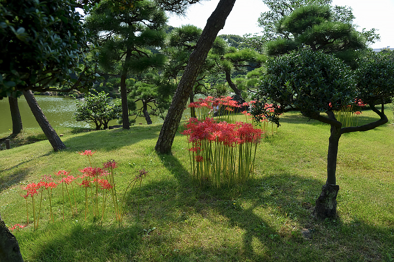 image0146