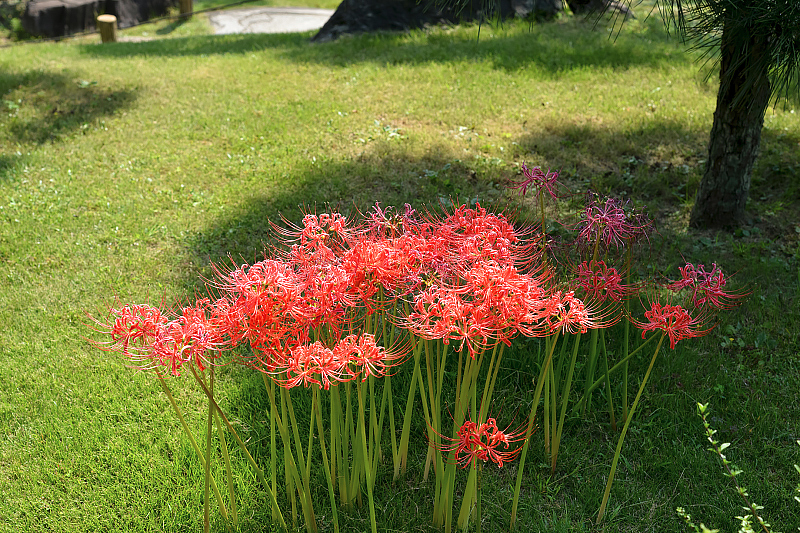image0147