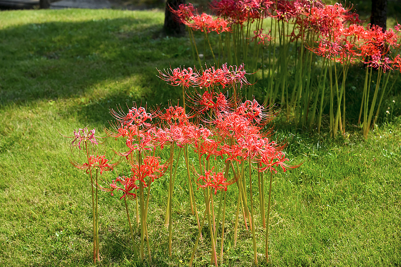 image0148