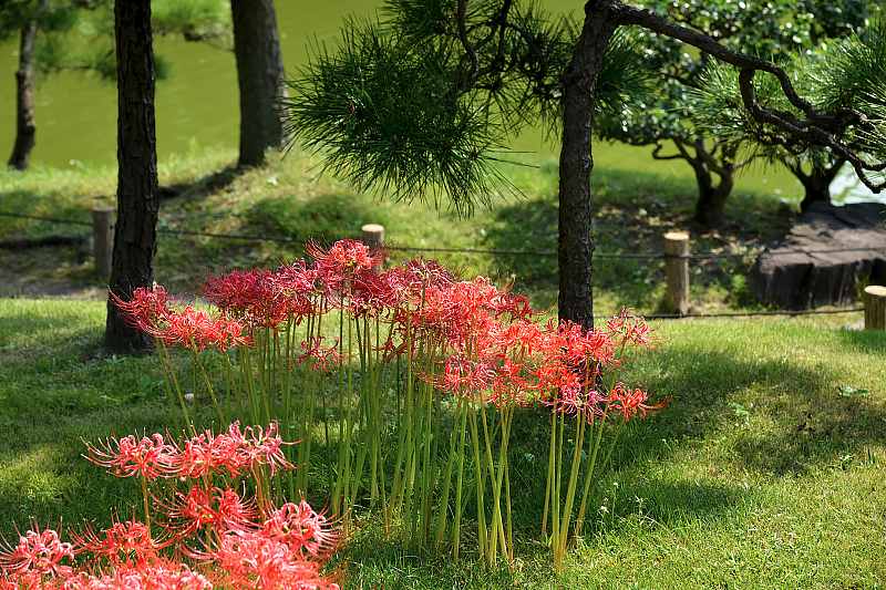 image0149