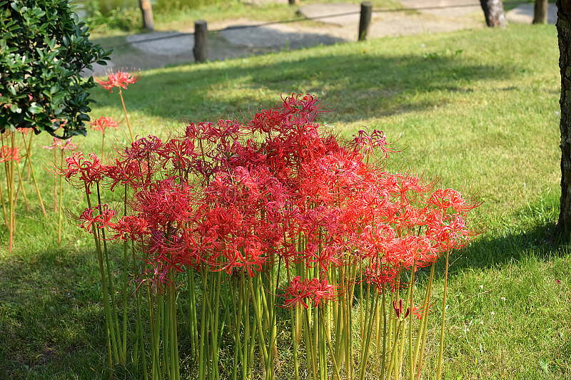 image0150