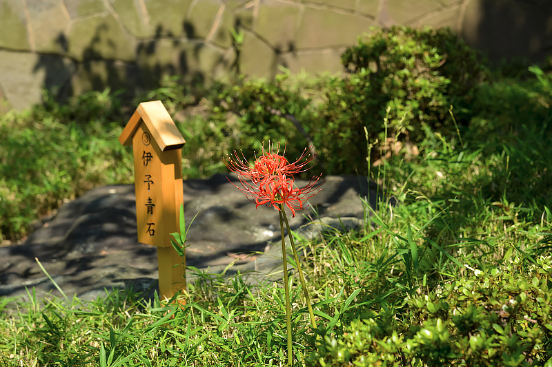 image0159
