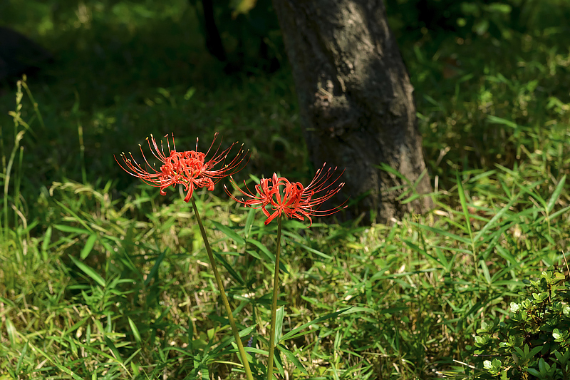 image0160