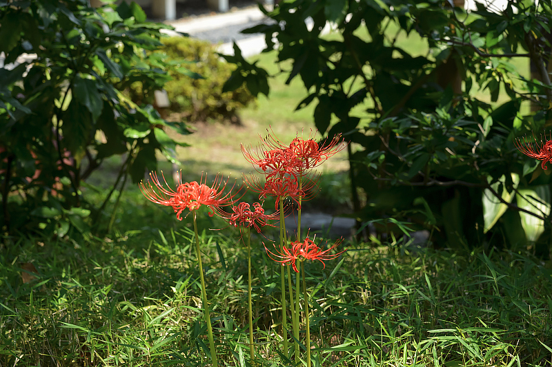 image0161